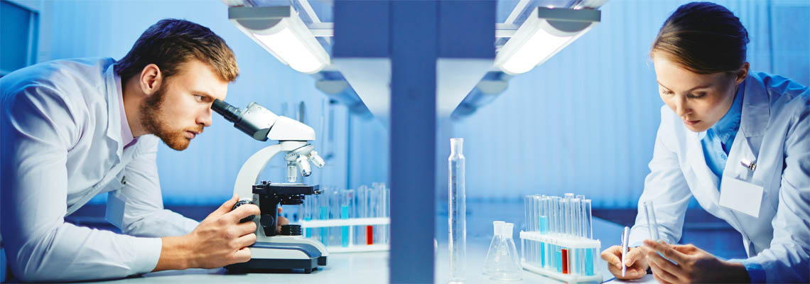 Picture of our company